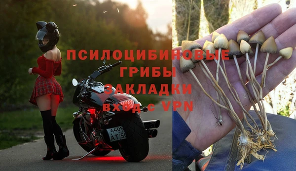 спайс Алексин